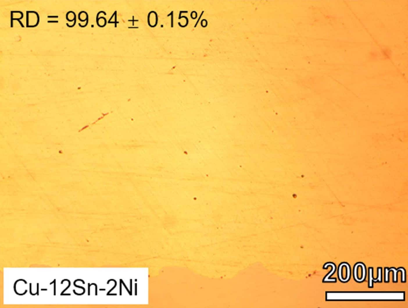 Microstructure image of unetched LDED tin bronze showing uniform grain distribution and dense alloy structure