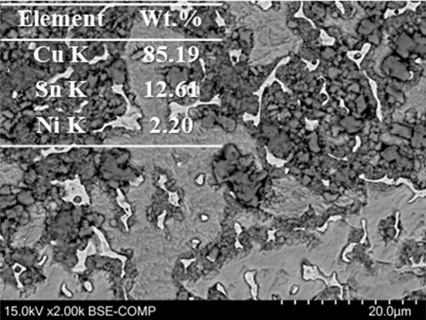 SEM analysis of LDED-fabricated tin bronze showing microstructural morphology and alloy bonding quality
