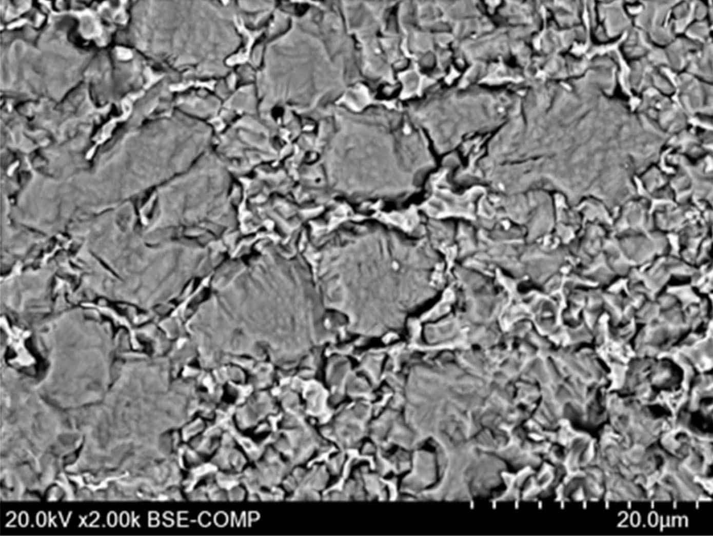 SEM analysis of LDED-fabricated tin bronze showing microstructural morphology and alloy bonding quality