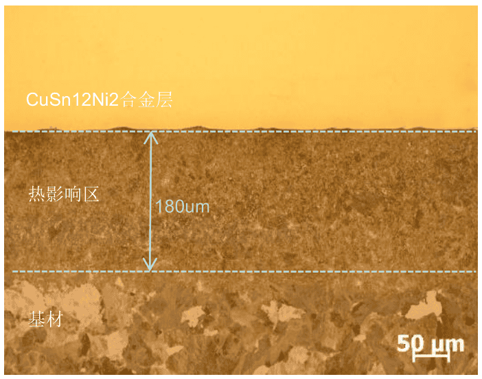 Metallographic test image of tin bronze laser cladding layer showing microstructure and bonding quality
